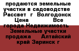 продаются земельные участки в садоводстве “Рассвет“ г. Волгодонск › Цена ­ 80 000 - Все города Недвижимость » Земельные участки продажа   . Алтайский край,Заринск г.